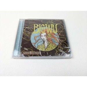 Spring Reverb by The Big Wu‎ (CD, 2002) Minnesota Rock Jam Band